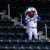 On Cusp Of New Baseball Season, Author Describes Joy And Torment of Mets Fandom